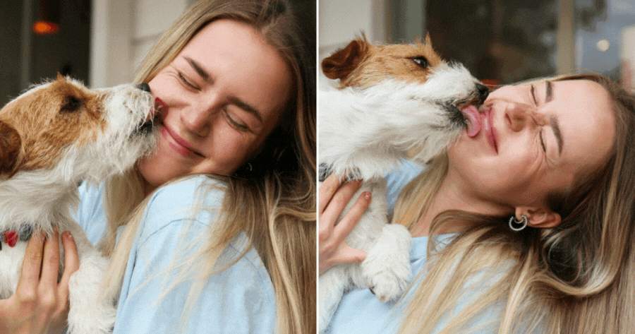 How Does Your Pets Feel About You, Friend Or EnemyοΌ